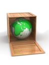 Earth in crate Royalty Free Stock Photo