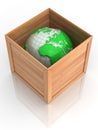 Earth in crate Royalty Free Stock Photo