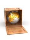 Earth in crate Royalty Free Stock Photo