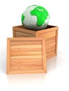 Earth in crate Royalty Free Stock Photo