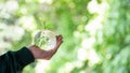 Earth crystal glass globe ball and growing seedling in human hand, environment day concept. Sustainable development of natural Royalty Free Stock Photo