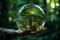 Earth crystal glass globe ball with a tree inside in human's hands