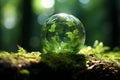 Earth Day. Beautiful Green Globe in Serene Forest with Lush Moss and Soft Abstract Sunlight Royalty Free Stock Photo