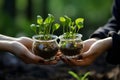 Celebrate earth day. Hands holding small green sprouts in lush spring grass