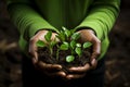 Celebrate earth day. Hands holding small green sprouts in lush spring grass