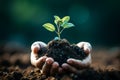 Celebrate earth day. Hands holding small green sprouts in lush spring grass