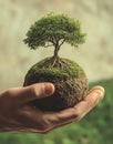 The Earth Day concept is depicted in an image of two human hands supporting the Earth globe and a big tree, placed over a blurred Royalty Free Stock Photo