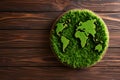 The earth day concept - world map made of moss, rustic wood background, top view Royalty Free Stock Photo