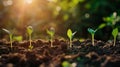 Young plants growing in fresh soil with sun rising in the morning generated by AI. Royalty Free Stock Photo