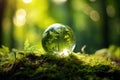 Earth day - environment - green globe in forest with moss and defocused abstract sunlight Royalty Free Stock Photo