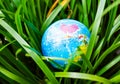 Earth Day Environment on Green Leaves Tree Growth Nature Background, Globe Planet Map in Forest, Concept for Ecology Save Royalty Free Stock Photo