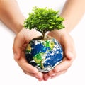 Globe in human hands, protecting our planet earth from global warming Royalty Free Stock Photo