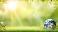 Earth Day Green grass, sun, butterflies, spring Royalty Free Stock Photo