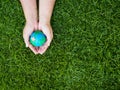 Earth day. earth in hands and green grass field background. envi Royalty Free Stock Photo