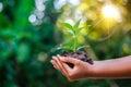 Earth Day In the hands of trees growing seedlings. Bokeh green Background Female hand holding tree on nature field grass Forest co