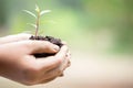 Earth Day In the hands of trees growing seedlings. Female hand holding tree on nature field grass. Bokeh green Background. Royalty Free Stock Photo
