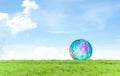 Earth Day World Concept with Global on Green Grass Isolated on Blue Sky Background Growth Plant Meadow with Word Model and Cloud Royalty Free Stock Photo