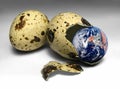 Earth in egg