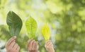 Earth Environment Day,  Hand holding a leaf and environment  icons energy sources for renewable with sustainability. Forest Royalty Free Stock Photo