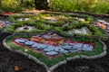 Earth festival magical flora decoration