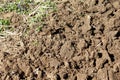 Earth freshly dug Royalty Free Stock Photo