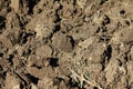 Earth freshly dug 3 Royalty Free Stock Photo