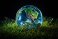 Illuminated planet earth globe in green grass Royalty Free Stock Photo