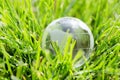 Translucent globe sitting in blades of grass Royalty Free Stock Photo