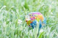 Earth globe on the grass. Save the nature. Enviroment. April 22 earth day theme. Summer day, concept of ecology and saving the