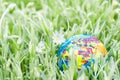 Earth globe on the grass. Save nature. Enviroment. April 22 earth day theme. Summer day, concept of ecology and saving the planet