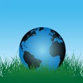 Earth Globe in Green Grass Royalty Free Stock Photo