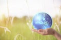 Earth globe in hands. World environment day Royalty Free Stock Photo