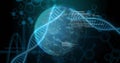 Earth globe rotating in virtual interface, with DNA helix, network grid and code fragments Royalty Free Stock Photo