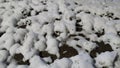 the earth and the grass breaking out from under the snow in spring or autumn