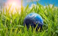 Earth in the grass. Environment. Save the nature. Royalty Free Stock Photo