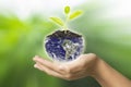 earth in hands - environment concept - Usa, elements of this image furnished by NASA Royalty Free Stock Photo