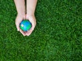 Earth in hands and green grass field background. environment sav Royalty Free Stock Photo