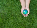 earth in hands and green grass field background. environment save earth concept. Royalty Free Stock Photo