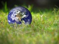 Earth lost in grass spring summer Royalty Free Stock Photo