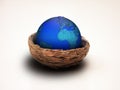 Earth Nest Hatching