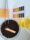 Earth with PH test stripe and yellow liquid in laboratory