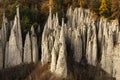 Earth pyramids of Renon close up