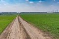 Earth road between agricultural winter crops fields in central Ukraine Royalty Free Stock Photo