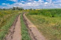 Earth road through flowering meadow to sunflower field near Dnipro city in central Ukraine Royalty Free Stock Photo