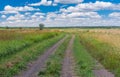 Earth road through meadow to remote village Zeleny Guy near Dnipro city