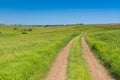 Earth road in wild Ukrainian steppe