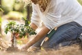 Earth`s day save the planet concept and people enjoying environment theme with adult woman with little tree in the forest to stop