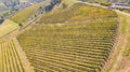 Earth`s line. A drone vertical perspective of the vineyards. Agricultural fields Royalty Free Stock Photo