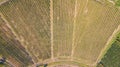 Earth`s line. A drone vertical perspective of the vineyards. Agricultural fields Royalty Free Stock Photo