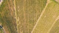 Earth`s line. A drone vertical perspective of the vineyards. Agricultural fields Royalty Free Stock Photo